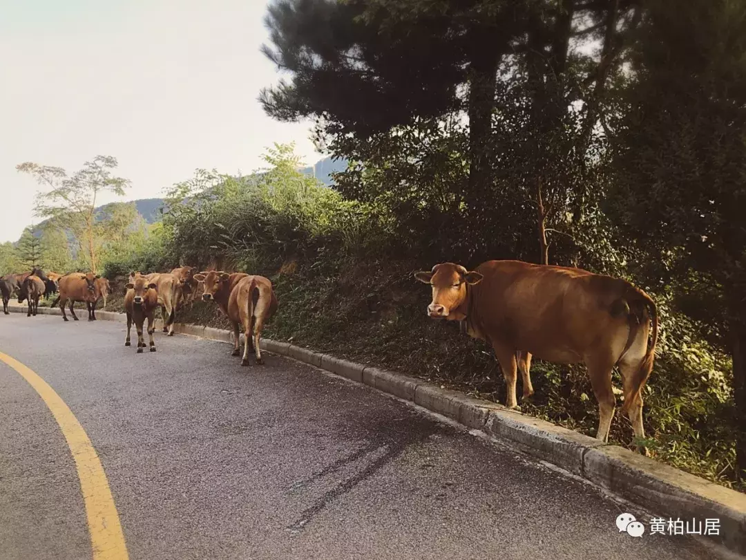 游记精选丨此乃云深不知处