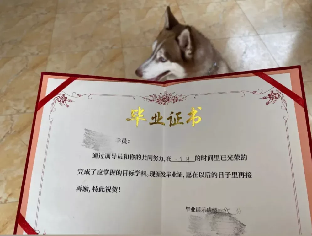 重庆购物狂家居装修