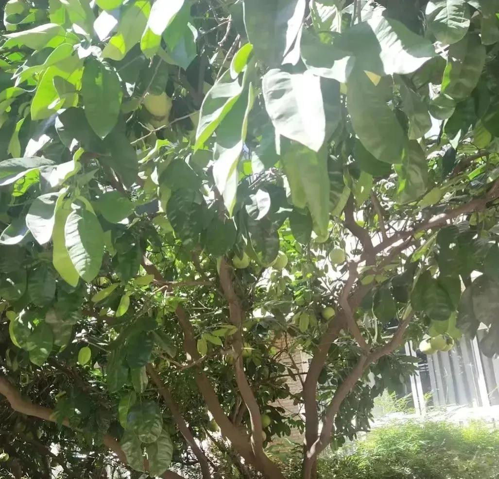 那些别人家的大学！真香！看看你的大学榜上有名吗？