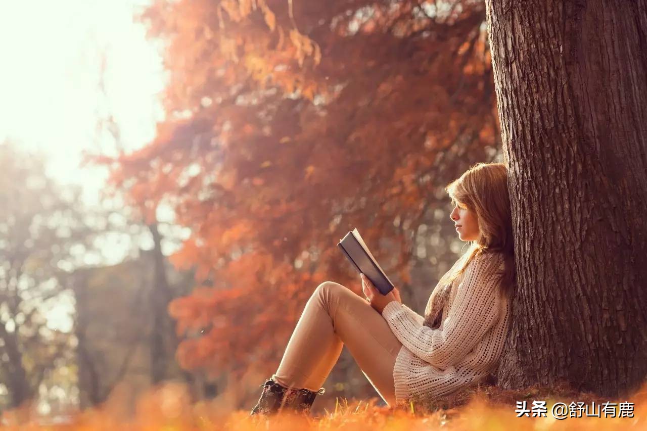 走到人生终点才顿悟，此生皆有定数，终究大梦一场