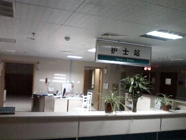 破伤风过敏患者的替代治疗方案