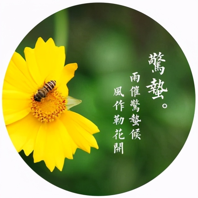 【惊蛰至】桃花初绽，春雷轻唤，万物萌动，生机盎然。