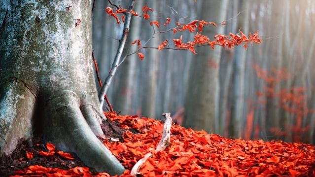 做好职业规划，收获美好人生