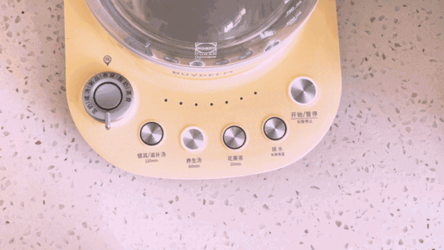 新晋家庭营养师，燕窝汤粥炖煮全能，可用10年不退役