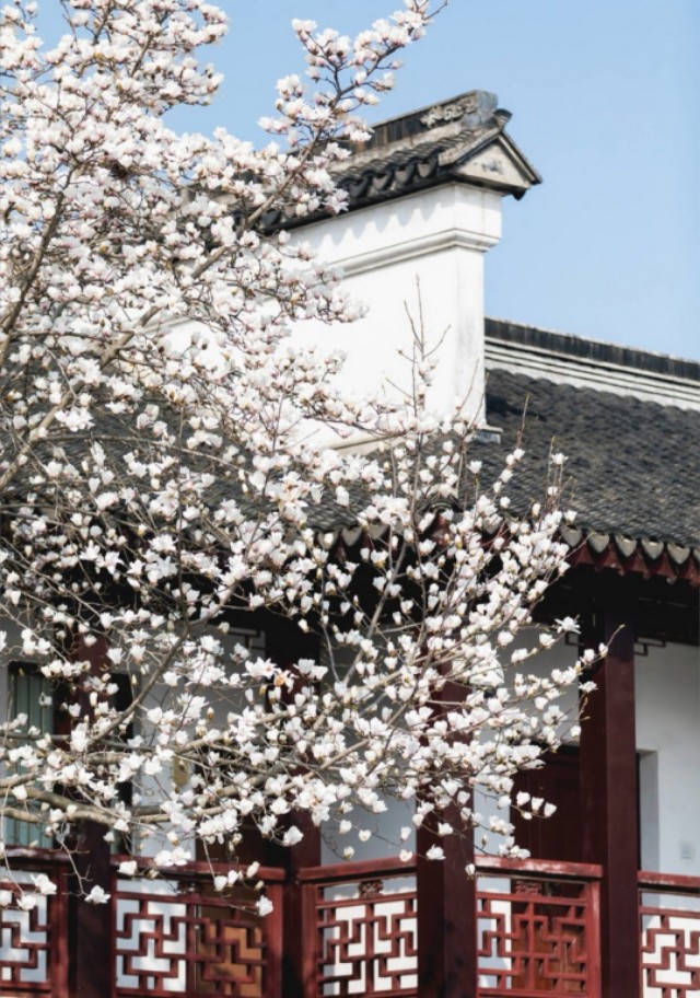 120个描写春天的好句段，让作文增光添彩的宝藏