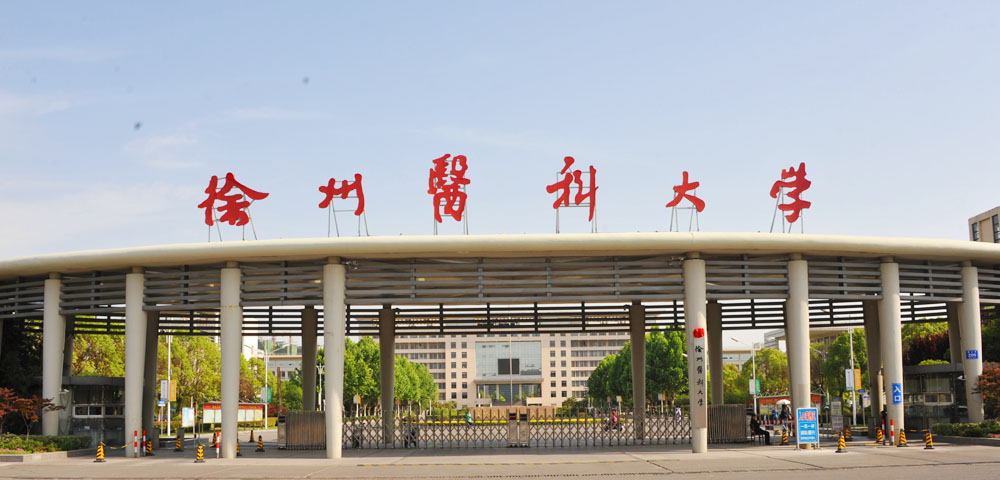 在就业中，医学院的985、211头衔重要吗？怎么评价医学院的好坏？