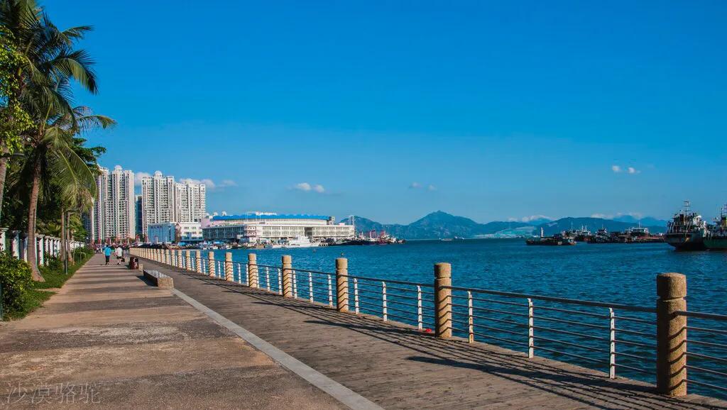 深圳十大免费少人知可以观海的公园
