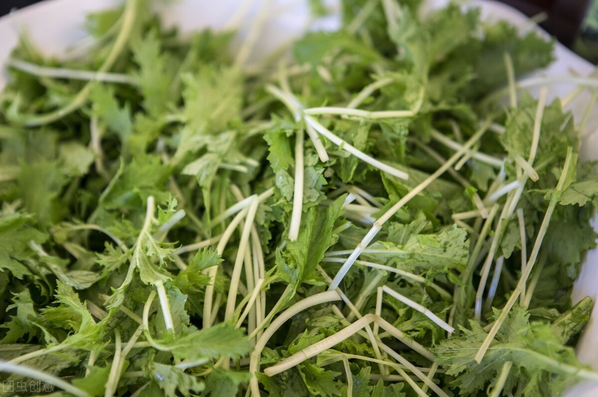 适合做沙拉的十种蔬菜品种