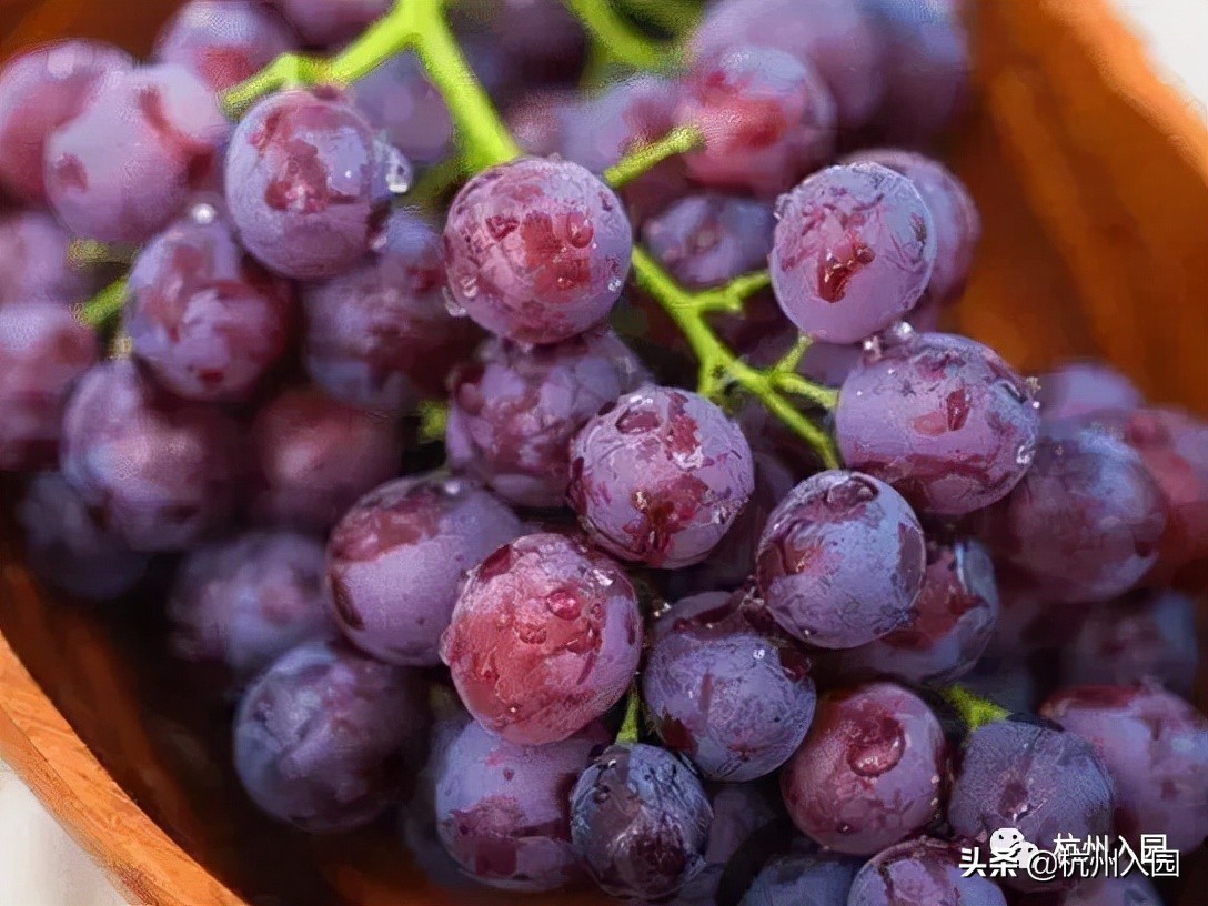 孩子在幼儿园吃了啥？杭州7所餐食超棒的幼儿园！看你家上榜没？