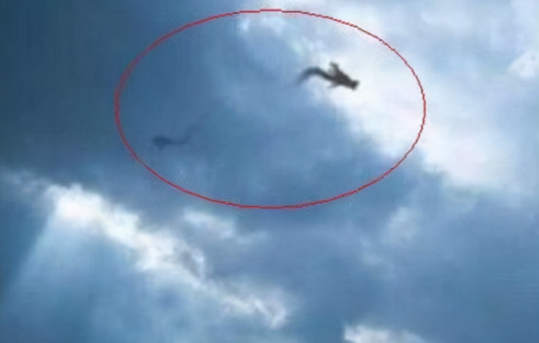 1995年,安徽曾有巨蟒渡劫,却被雷电击中飞升失败,是真是假?