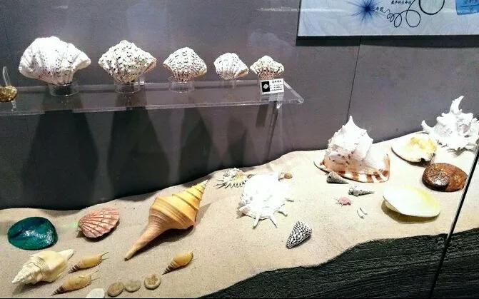 深圳9大免费特色博物馆，地铁直达，亲子家庭游玩好去处