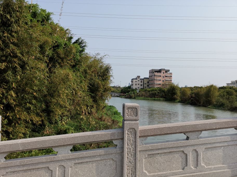 浓烈芬芳  春风十里赏花路  徜徉在广州海珠湿地的花海之中