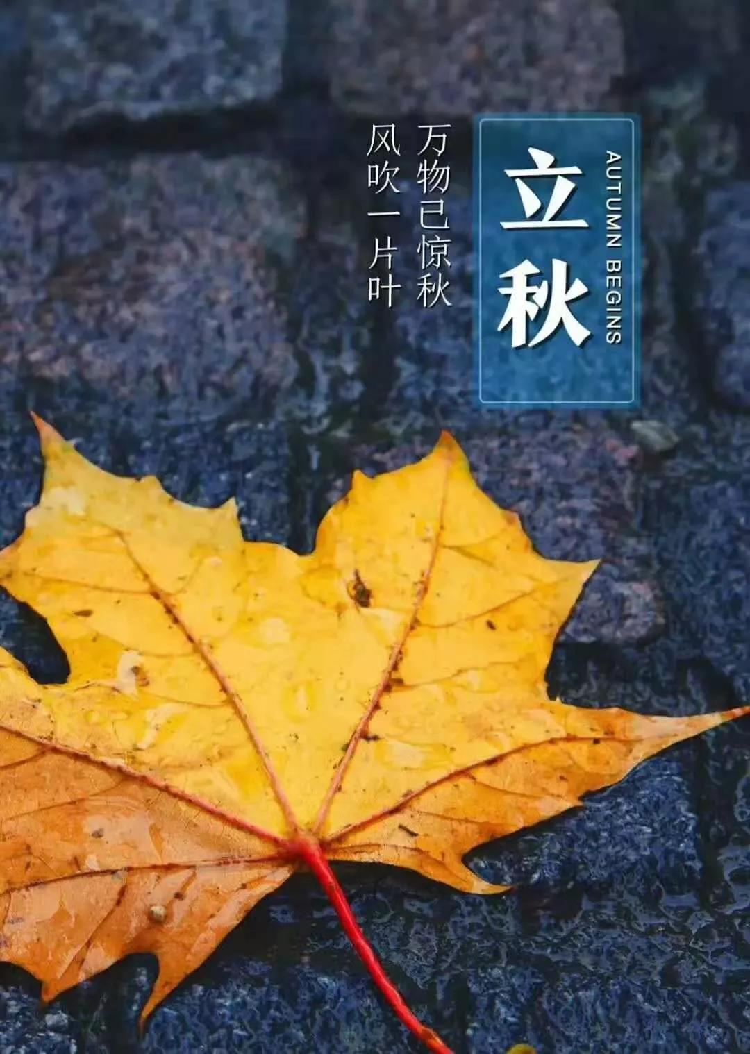 8月7号立秋,立秋下雨好不好?