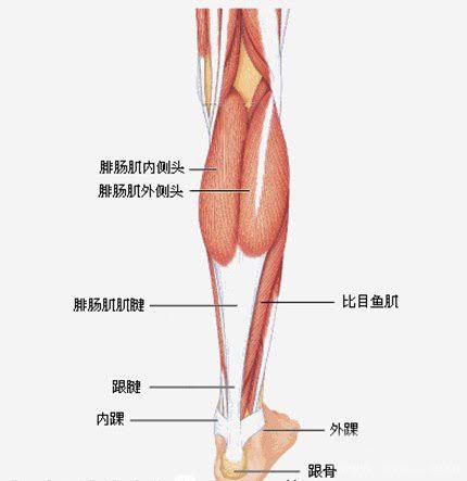 10个女生9个说自己小腿粗：解决萝卜腿，最有用方法竟然不是运动？