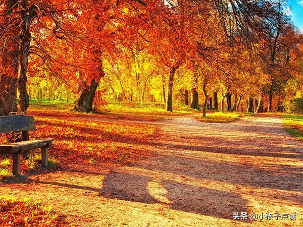 北京社_五年级英语上册单词列表、例句汇总