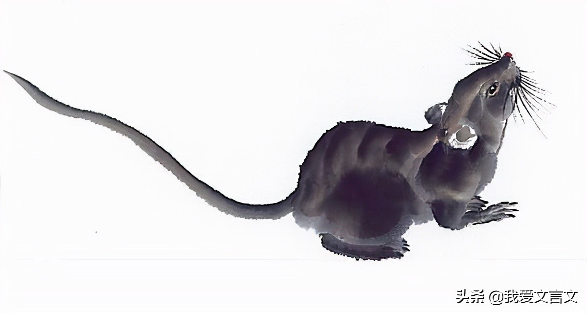 经典文言文赏析 | 黠鼠赋