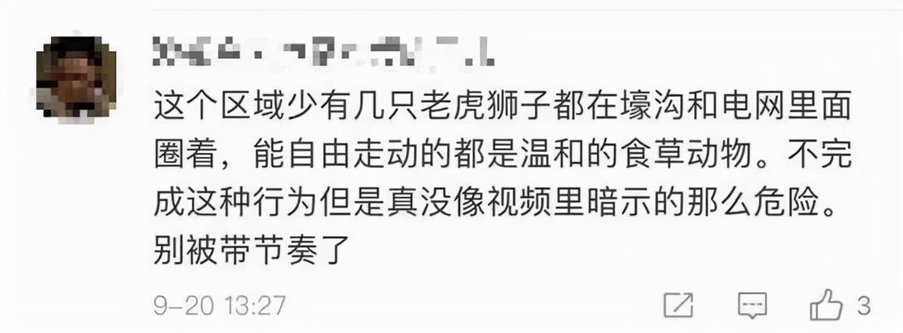 动物园老虎咬人,北京野生动物园老虎咬人