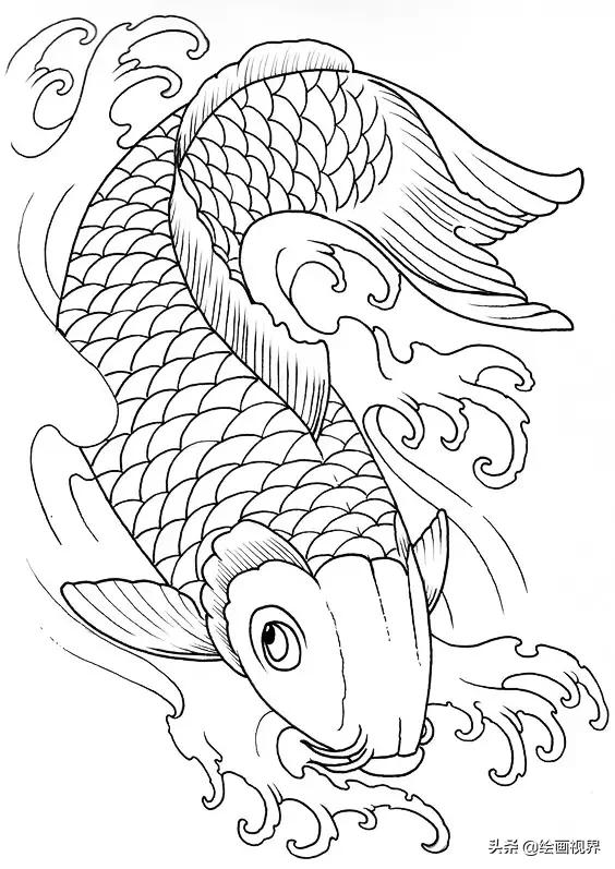锦鲤怎么画?从线条到造型,教你用最简单的线条画最美的锦鲤