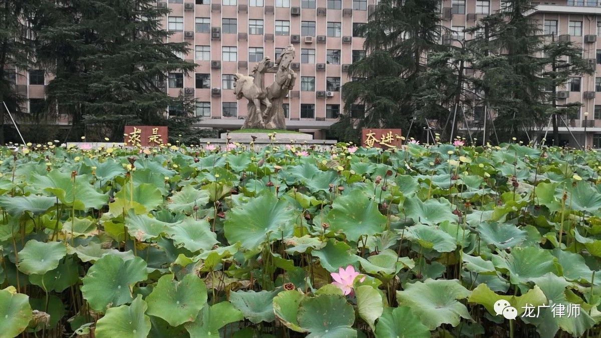 感悟浙商精神｜龙广律师郑云鹏主任赴浙江大学学习的观察与思考