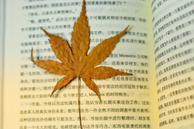 开学必看！适合初高中生，住宿生，开学新生（小学的可以看下）