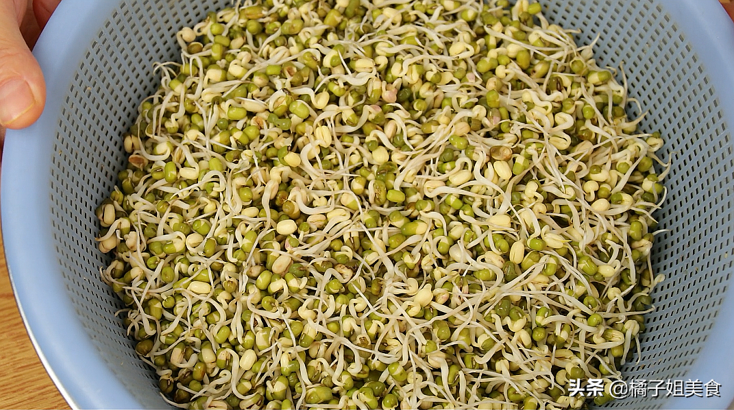 生豆芽怎么生（九步教你在家就能种植脆嫩的豆芽）