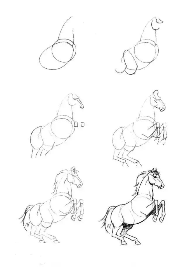 马的简笔画(简笔画教程,50个马的画法!