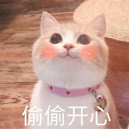 身份证照片要求,身份证照片要求穿什么衣服