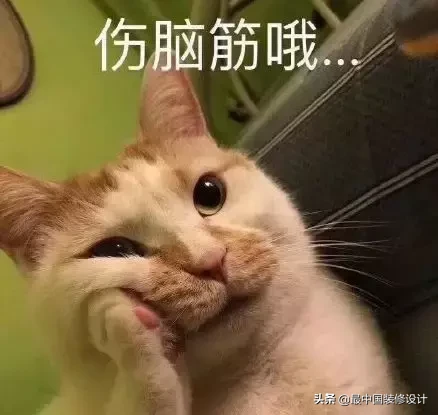 救命!自从我妈会用拼多多后,天天往家塞鸡肋