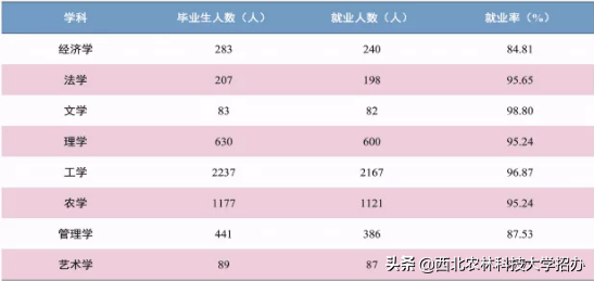 25个专业就业率100%，世界500强都来