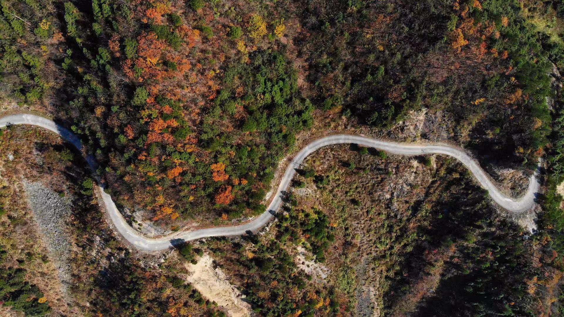 被誉为皖南最美的天路,白际公路狮石公路到底是否适合自驾?