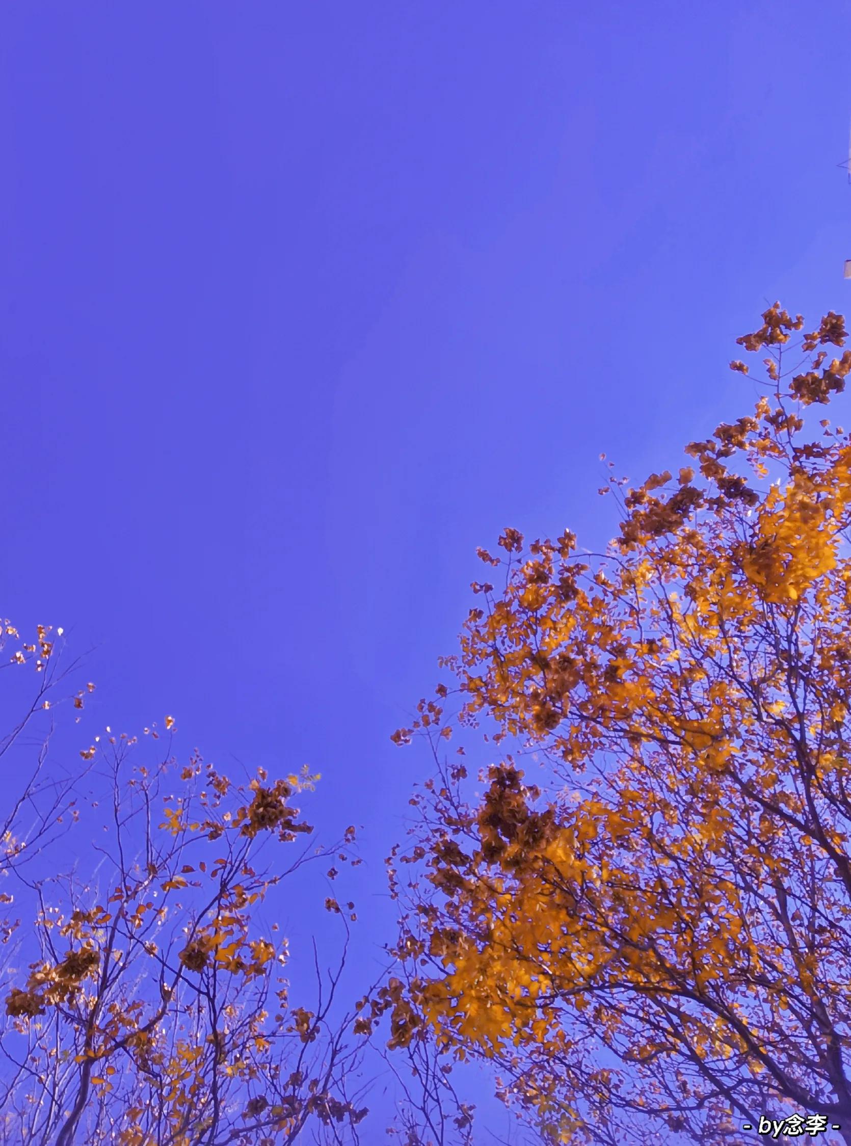 紫色的含义你知道吗？身边有喜欢紫色的人一定要注意了