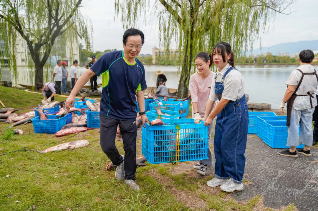 金职喊你免费吃鱼啦