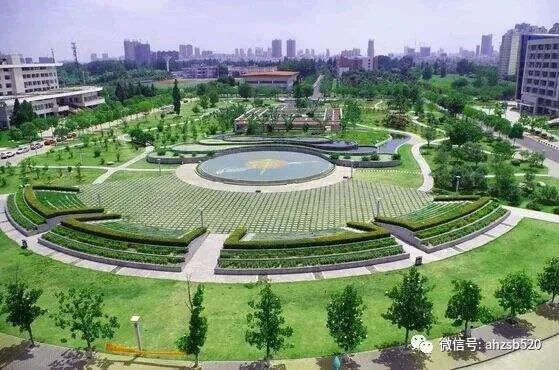 安徽专升本｜汉语言文学有哪些学校性价比最高？