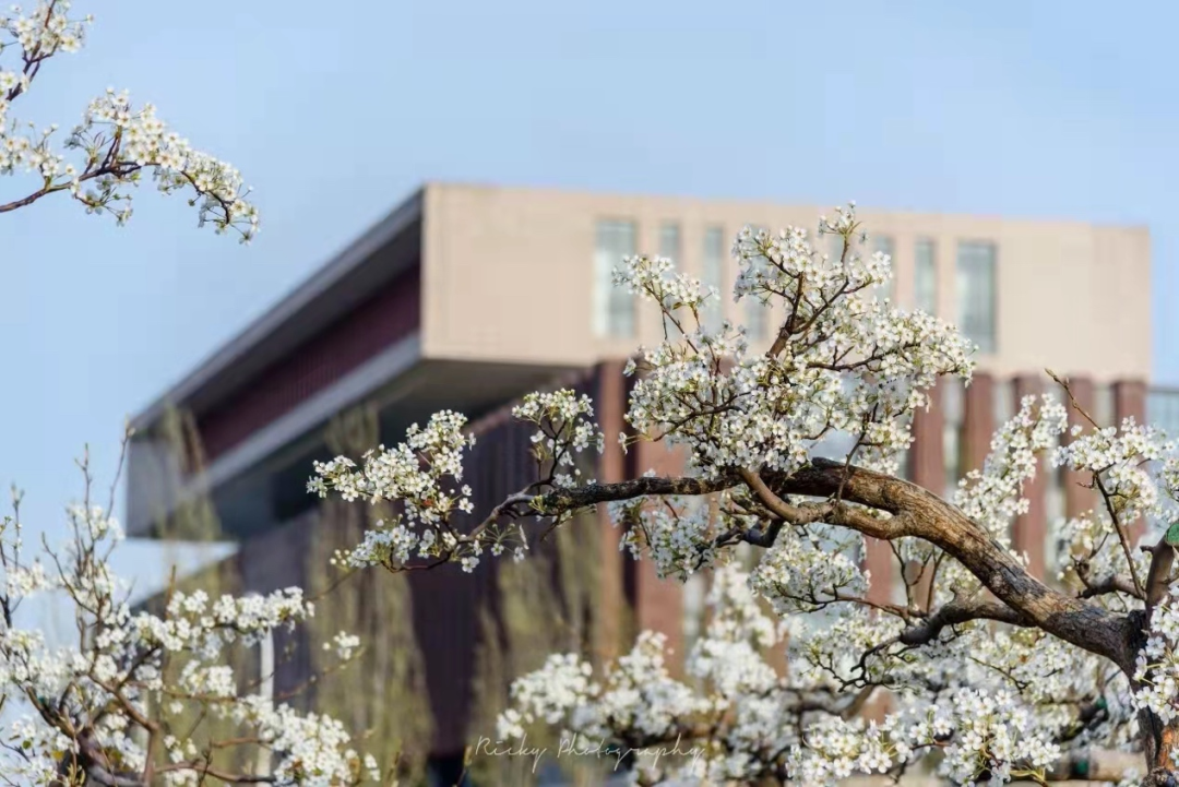 南开大学，102岁生日快乐