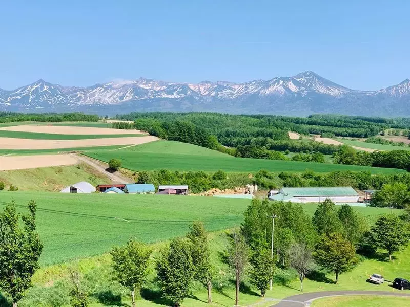暑期亲子壮游:在夏日北海道,接受山川粮食的教育