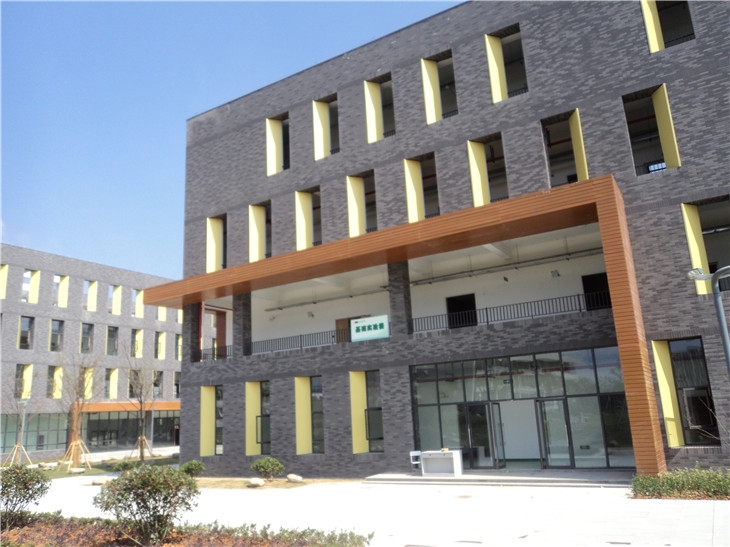 热门本科公立大学，浙江科技学院美术艺考生多少分能被录取？