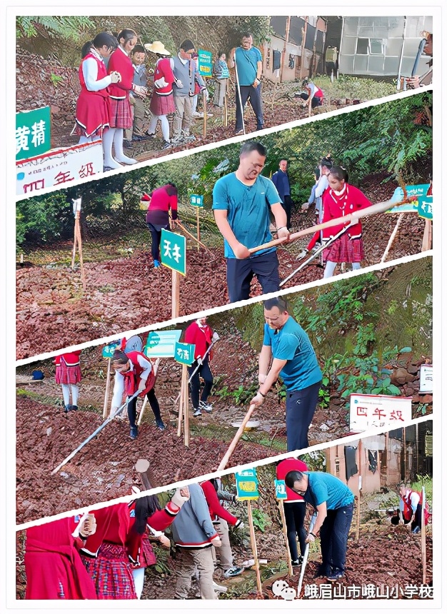 体验种植乐趣 探究中药奥秘