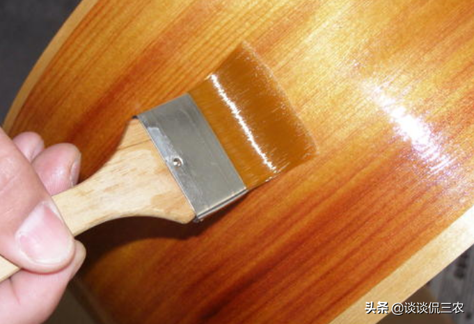 过去掉在地上没人捡，如今收购价3元一斤，村民：早知道不该砍树