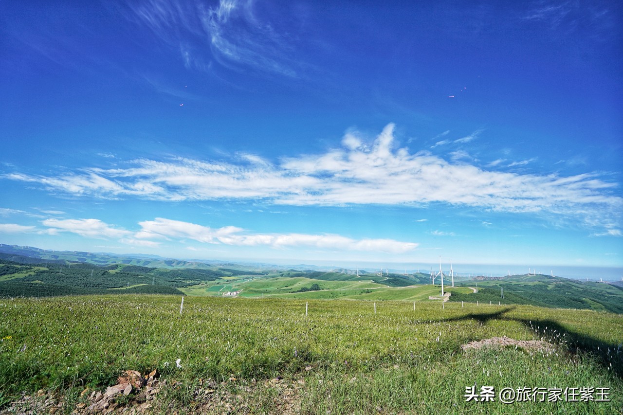 承德坝上，想和你潜入森林漫步草原，看日出日落，雨疏星骤