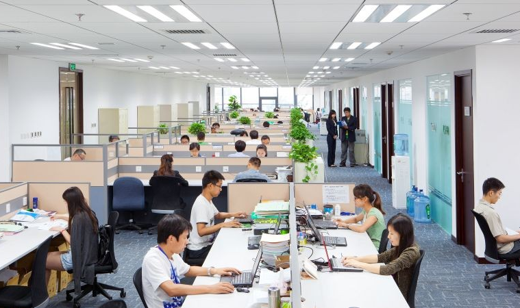 上海这所“豪横”211，分数线比985还要高，四大会计事务所争着抢