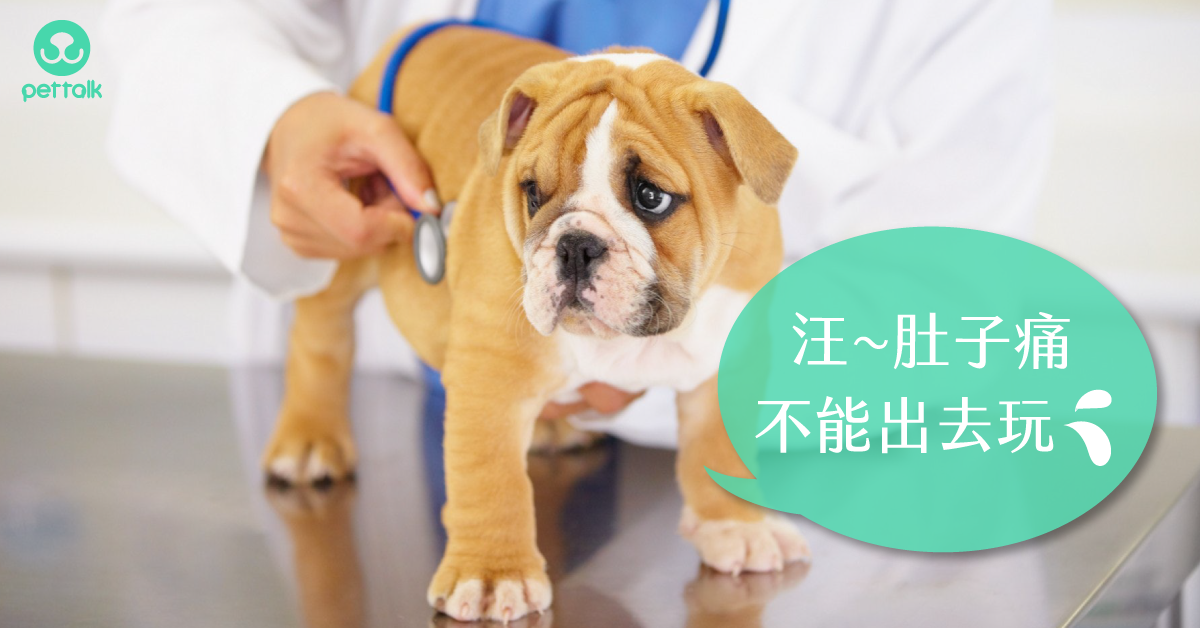 为什么我家的狗那么变态？和别家母狗一见面，就追着人家屁股闻？