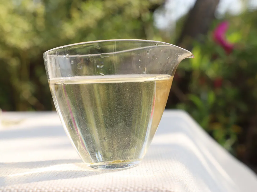 这些茶香味你感受过吗？（上）新白茶香气你喜欢哪种？吾雨茶课堂