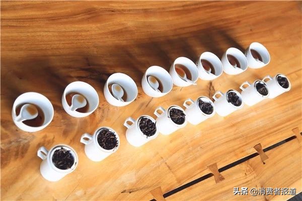 8款普洱茶对比：小罐茶表现一般；大益、益普香更实惠