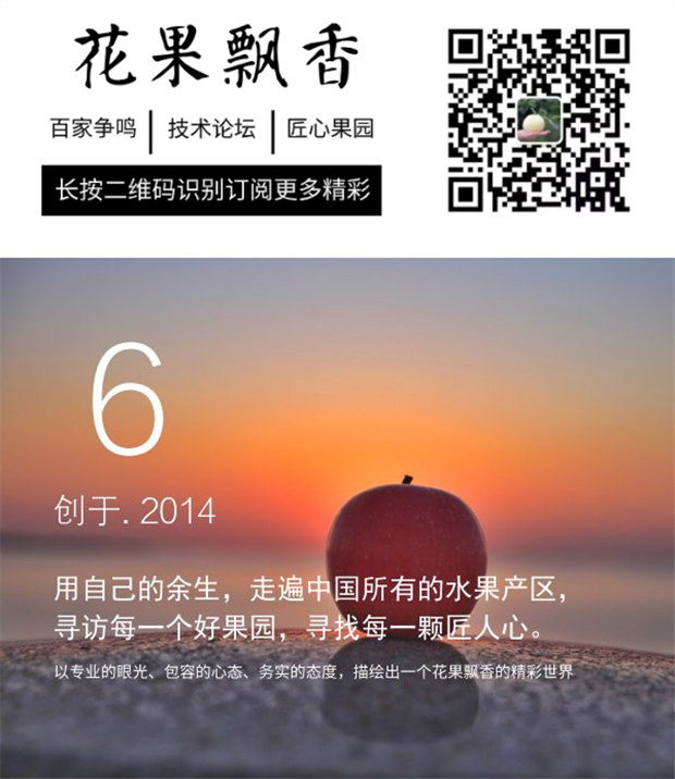 那个五亩阳光玫瑰换一辆大奔的人今年又在市区买房了