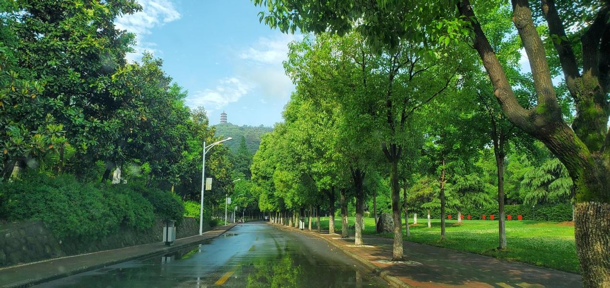 央视聚焦，中宣部“点赞”！湖北这所大学，坐落在5A级景区中