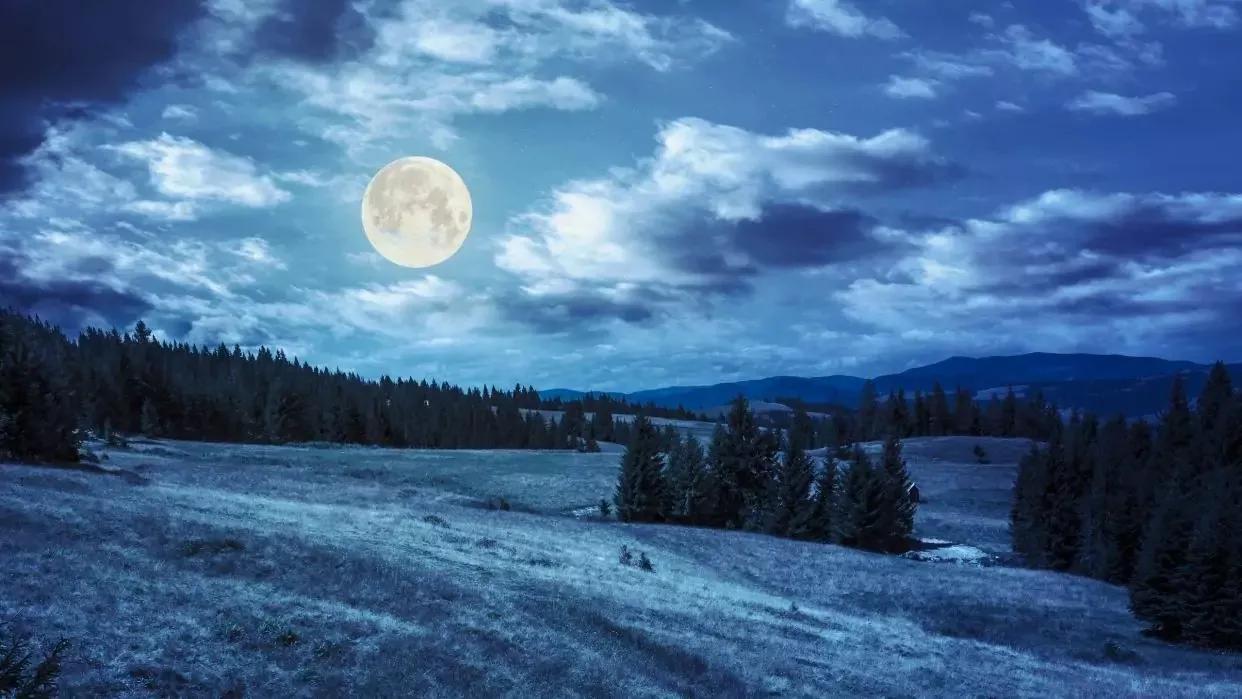 看懂了毛姆的《月亮與六便士》，才明白“心之所向，素履以往”