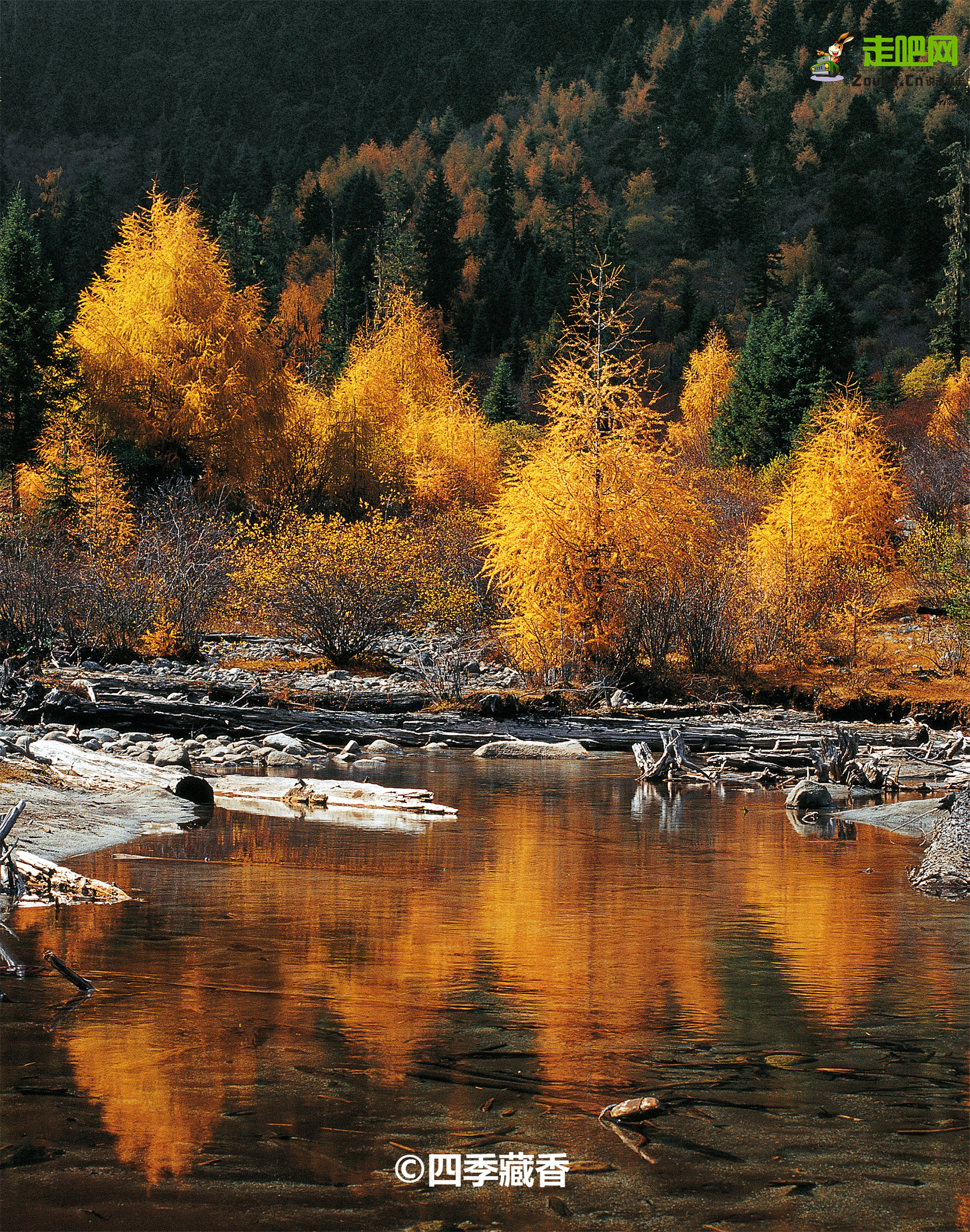 10月这12个颜值高地，已补好了妆，将向世人“卖弄”最美一面