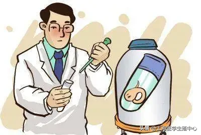 在试管助孕治疗中,女性需要承受什么?