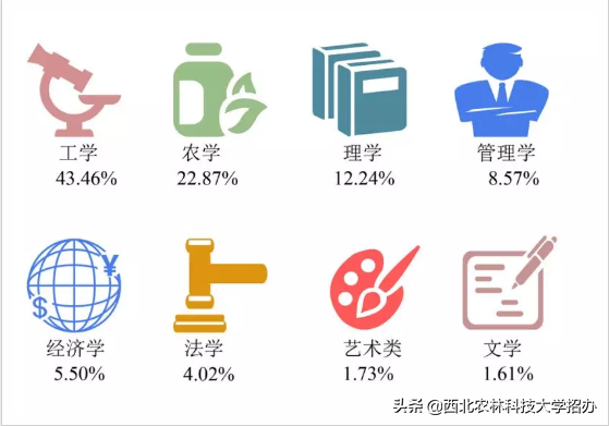 25个专业就业率100%，世界500强都来