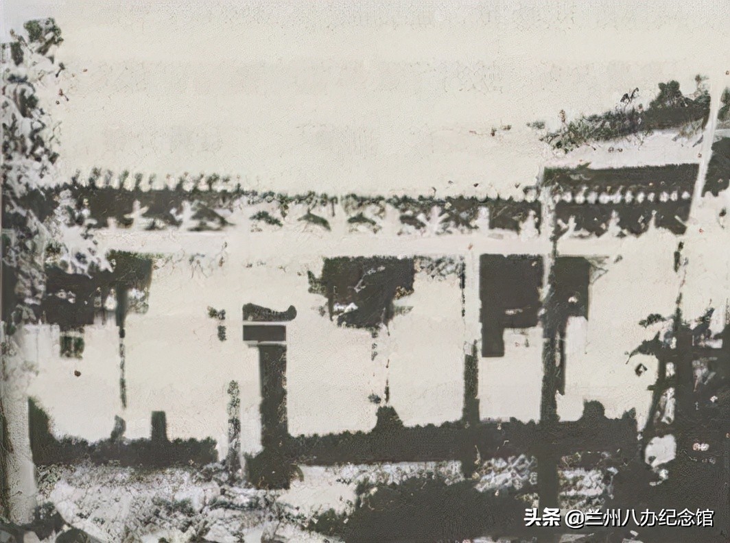 在线观展 